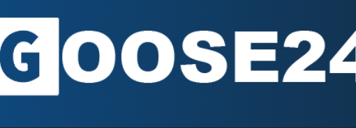 Goose24 logo